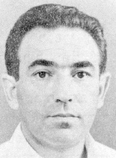 תמונת נמר דניאל ז"ל